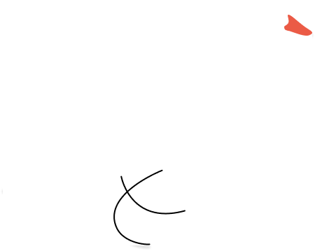 Canard